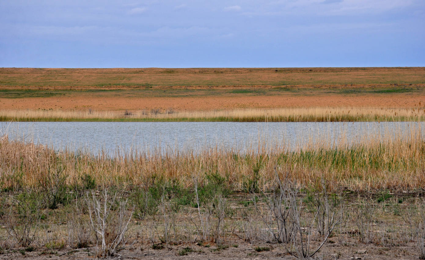 Ильмень Кюте, image of landscape/habitat.