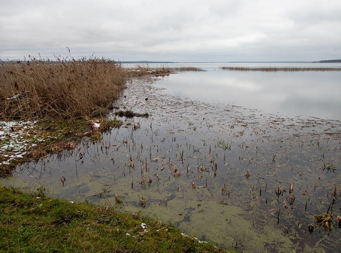 Национальный парк "Нарочанский", image of landscape/habitat.