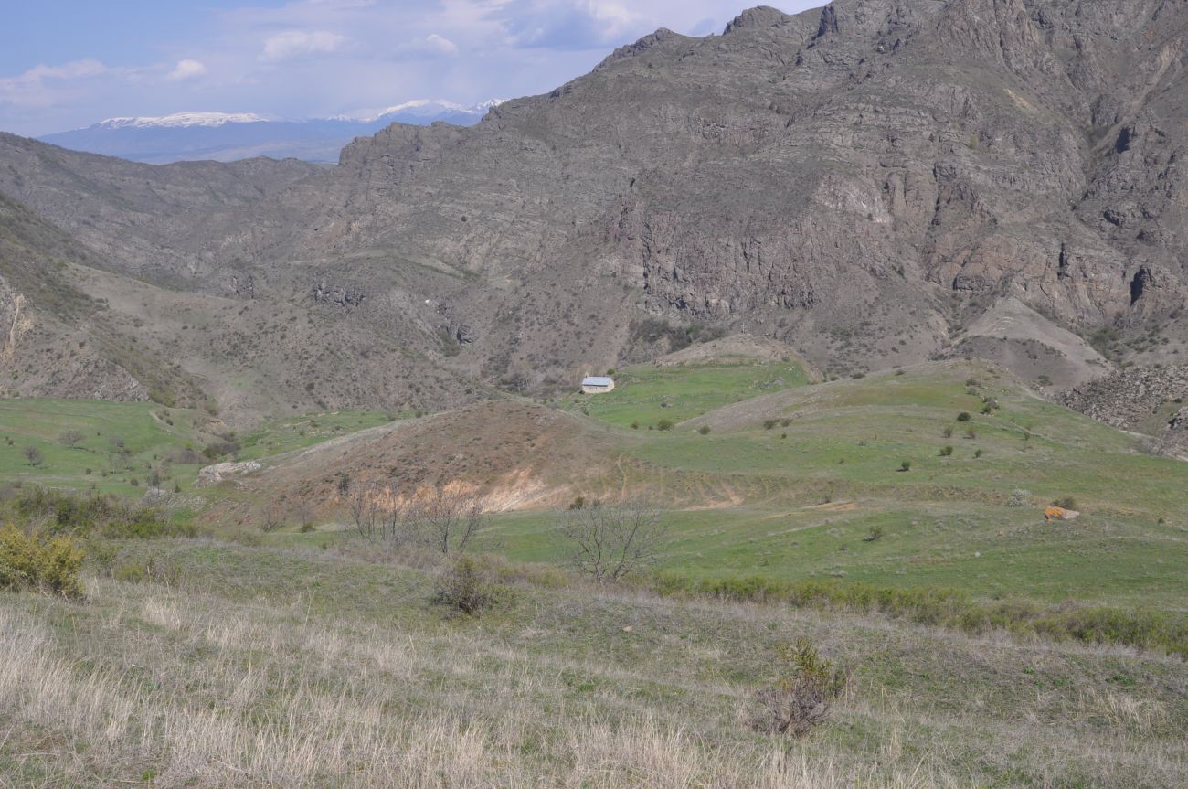 Окрестности урочища Мусхи, image of landscape/habitat.