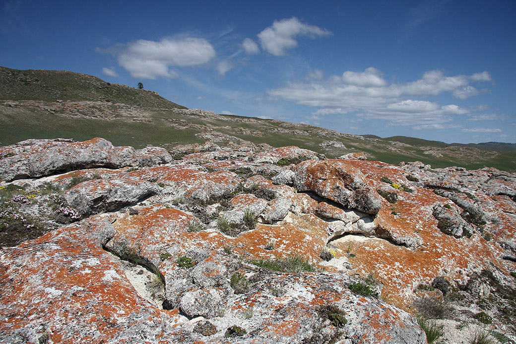 Озеро Холбо-Нур, image of landscape/habitat.