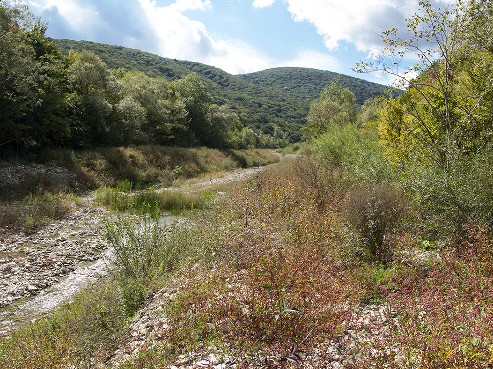 Богого, image of landscape/habitat.