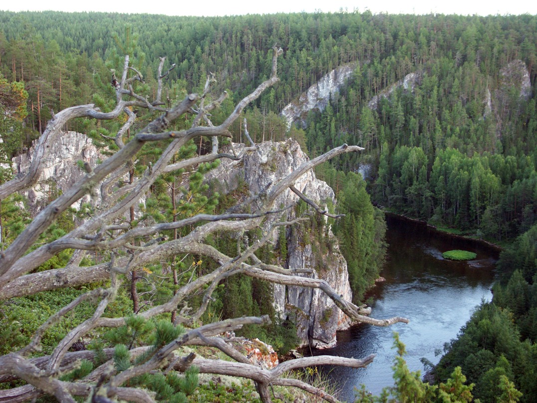 река Ивдель, image of landscape/habitat.