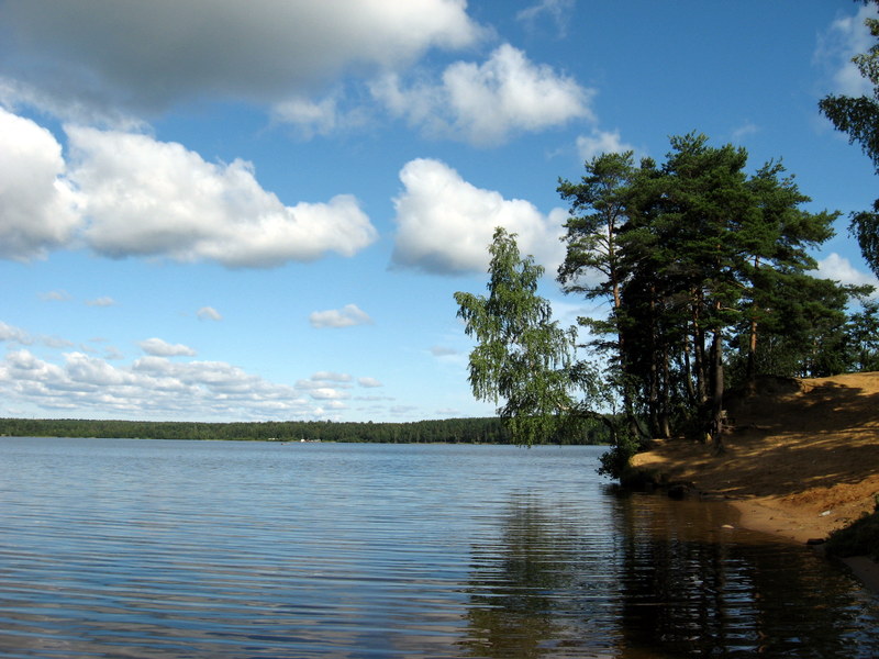 Токсово, image of landscape/habitat.