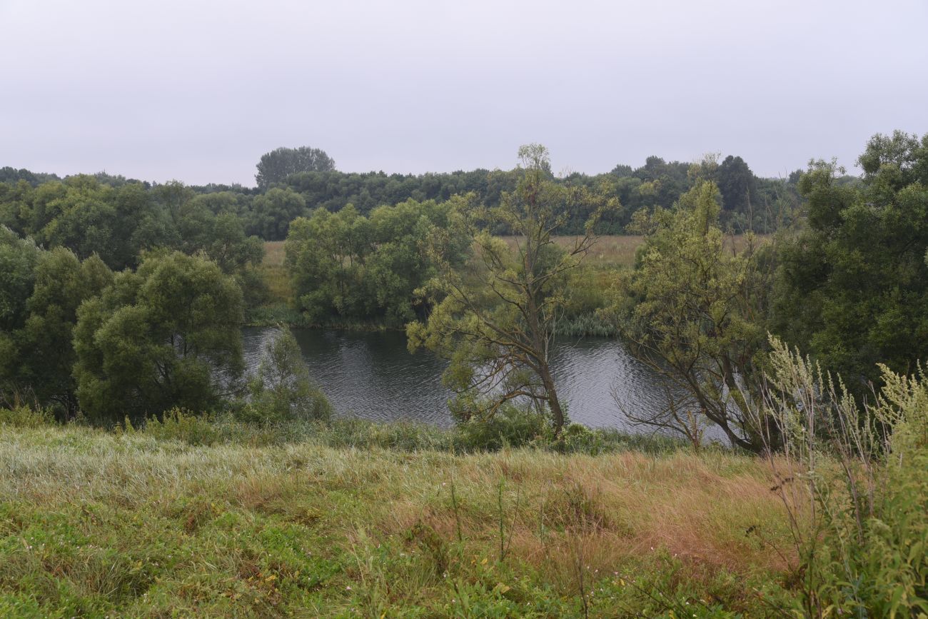 Лошаки, image of landscape/habitat.