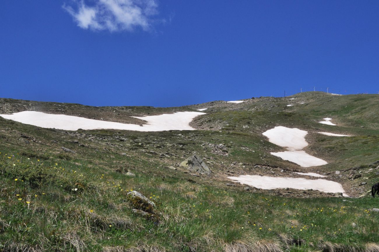 Кафе «Ай», image of landscape/habitat.