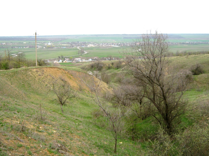 р. Малый Куяльник, изображение ландшафта.