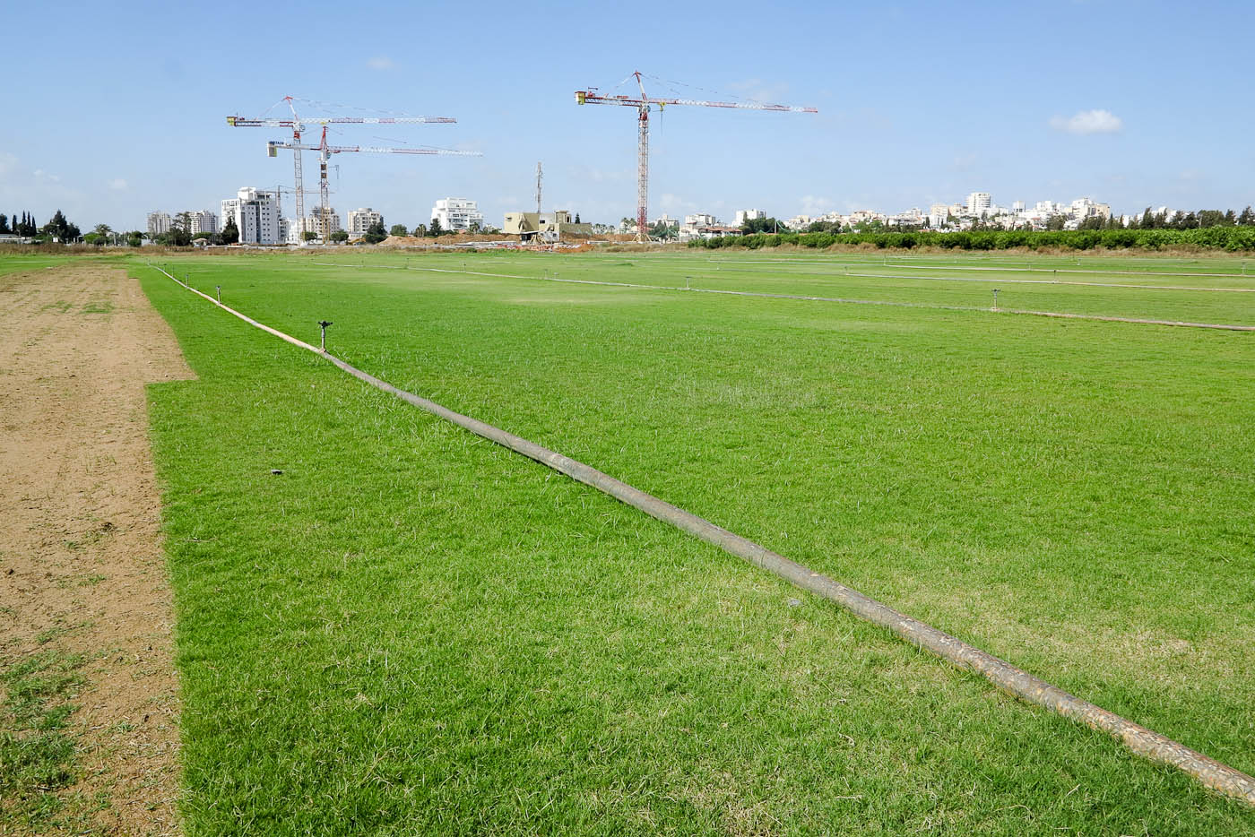 Герцлия и окрестности, image of landscape/habitat.