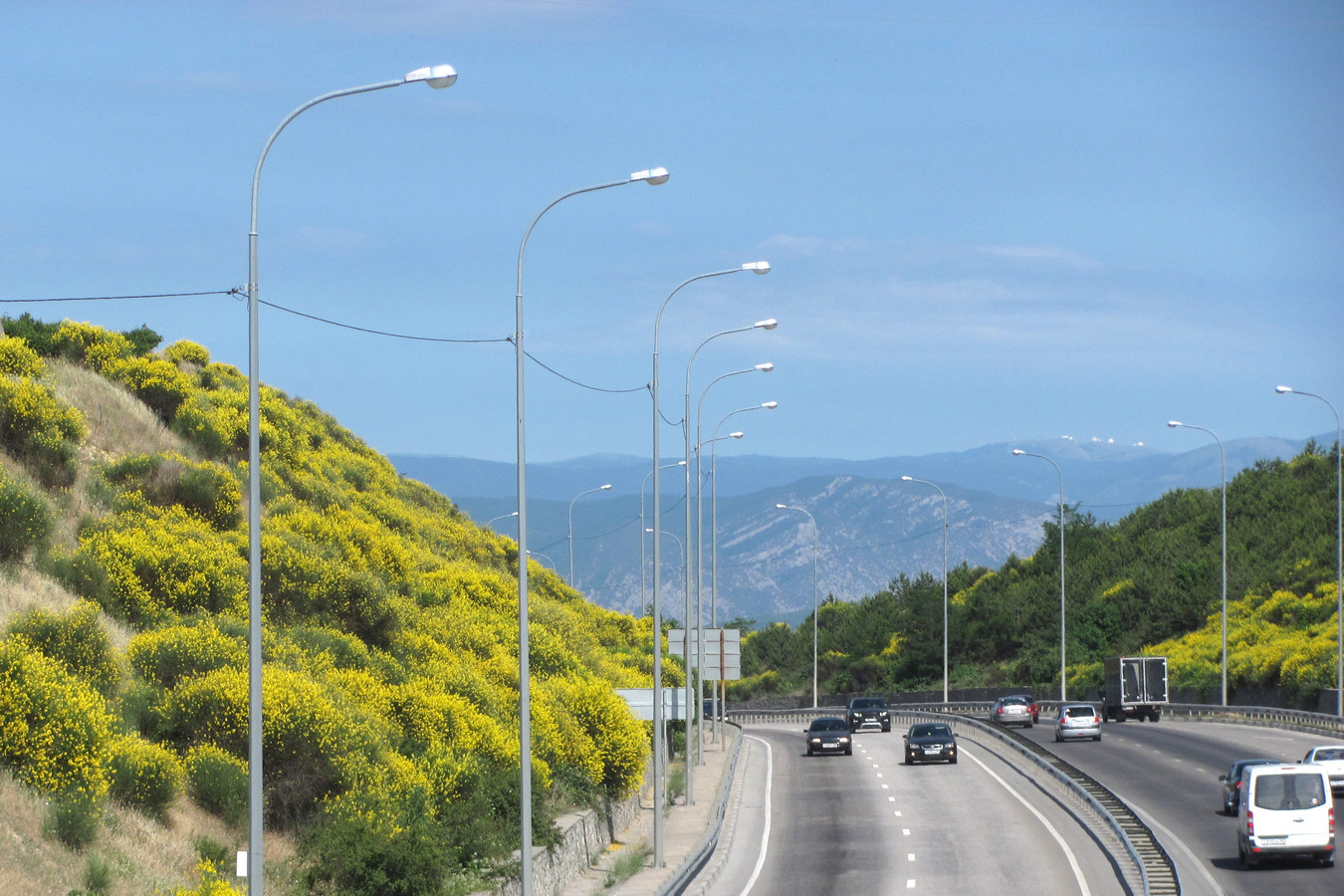 Севастополь. Синантропная флора., image of landscape/habitat.