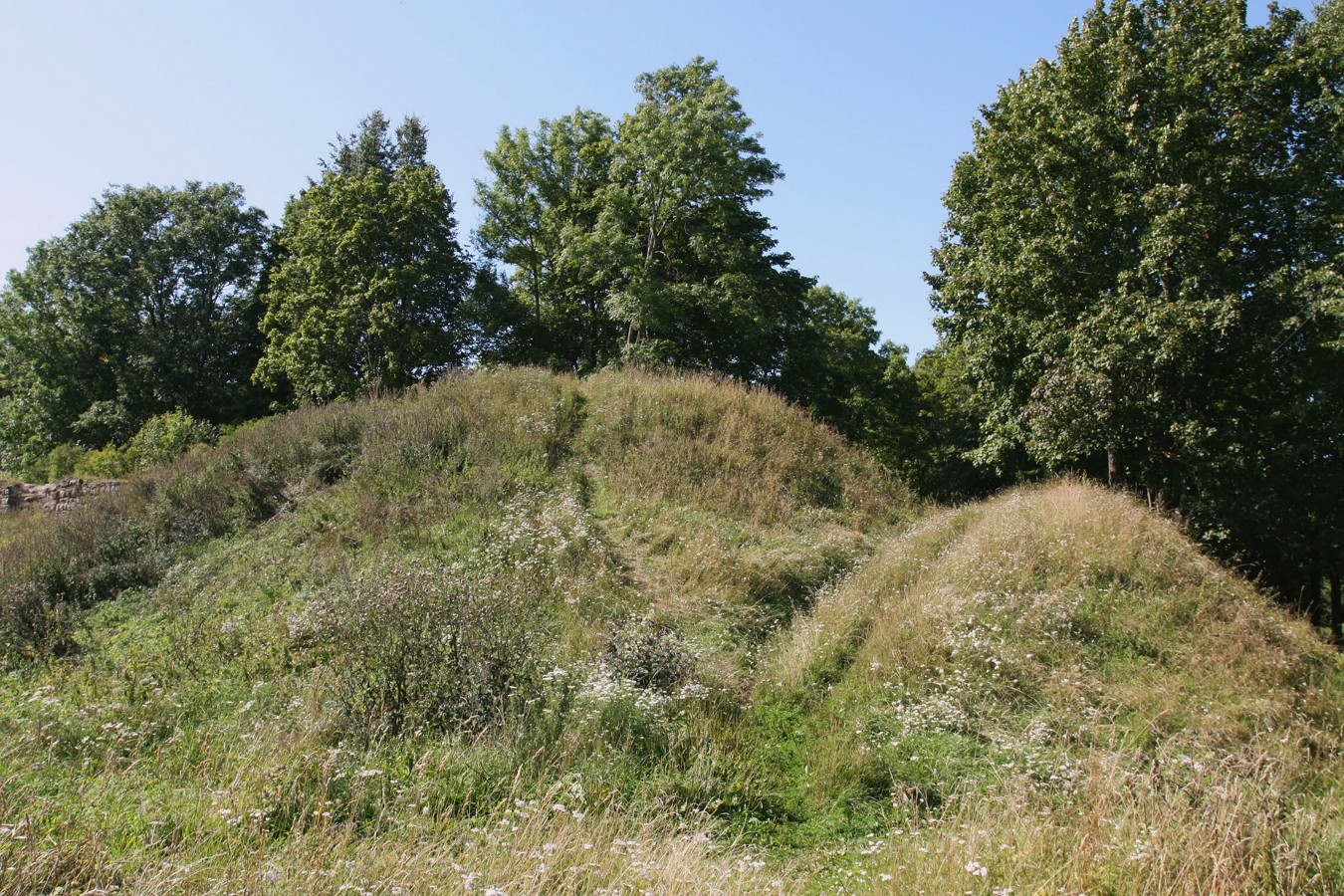 Гдов, image of landscape/habitat.