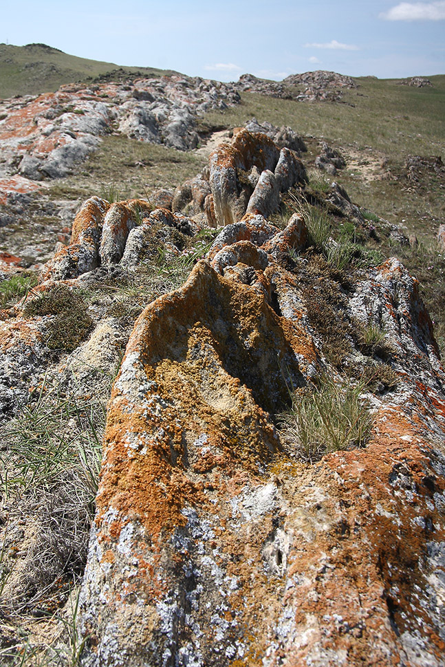 Озеро Холбо-Нур, image of landscape/habitat.