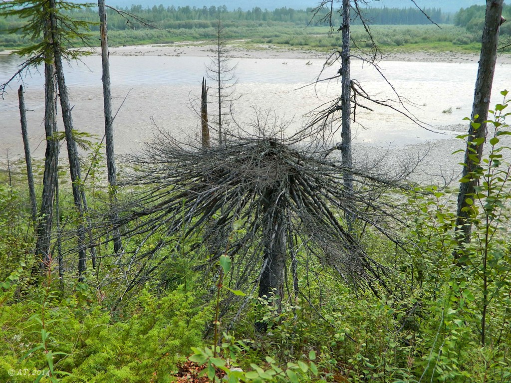 Буотама, image of landscape/habitat.