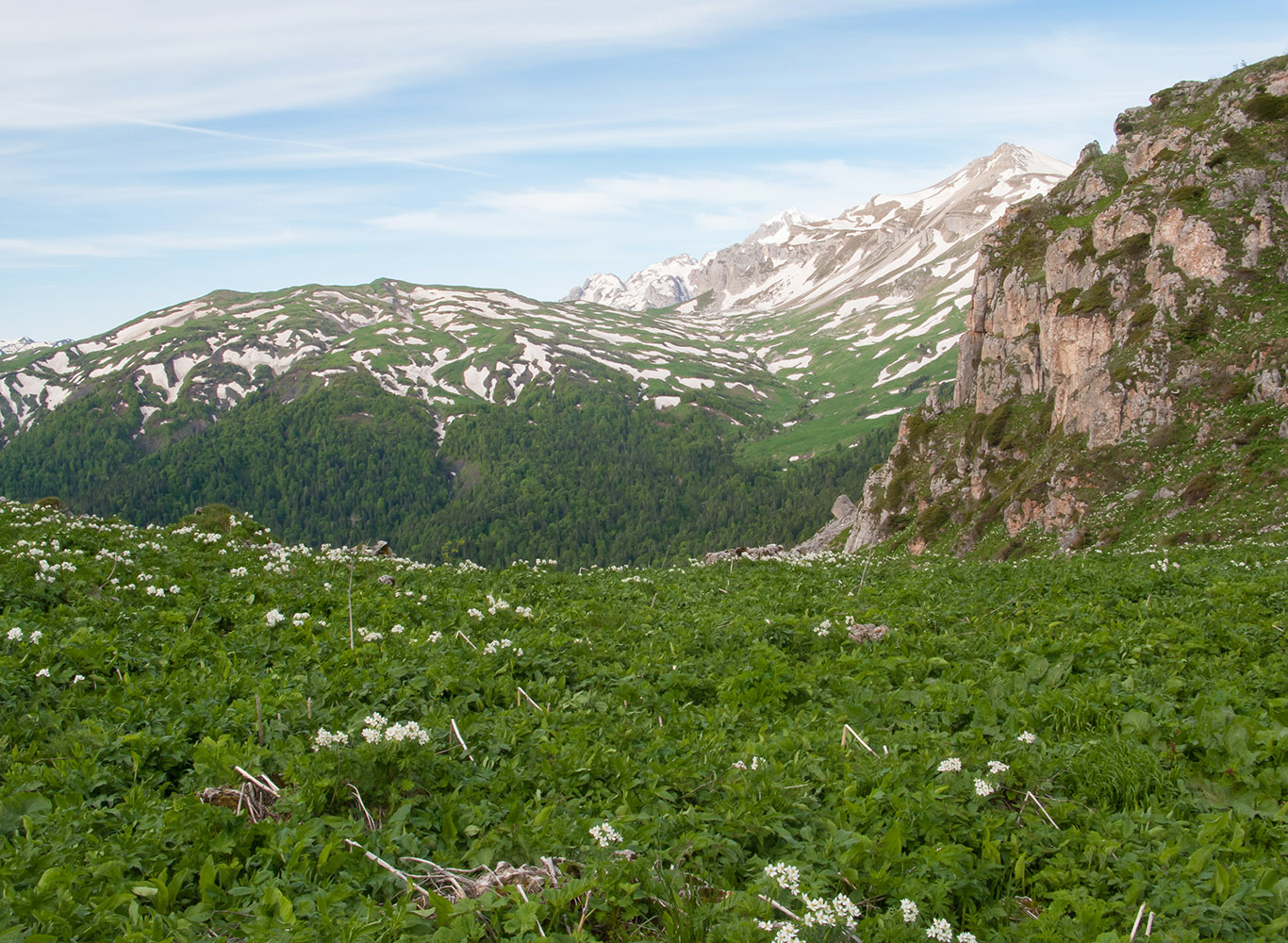 Каменное Море, image of landscape/habitat.