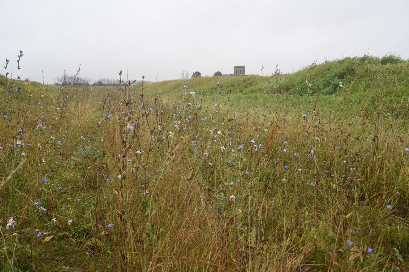 Лошаки, image of landscape/habitat.