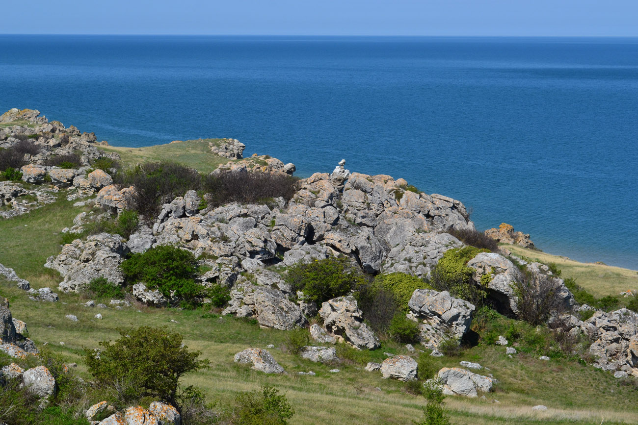 Караларская степь, image of landscape/habitat.