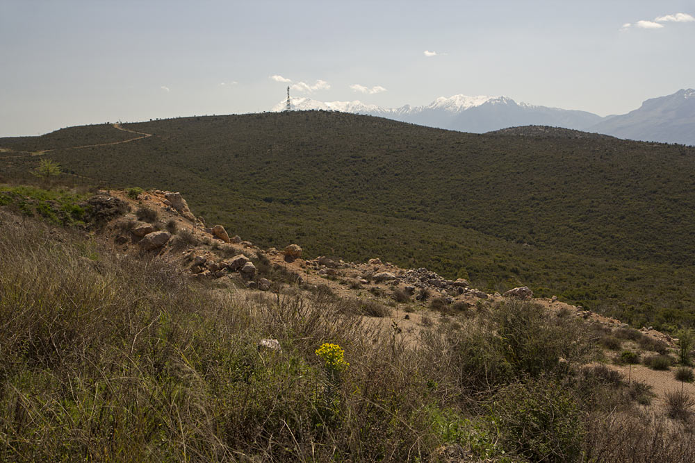 Спарта, image of landscape/habitat.