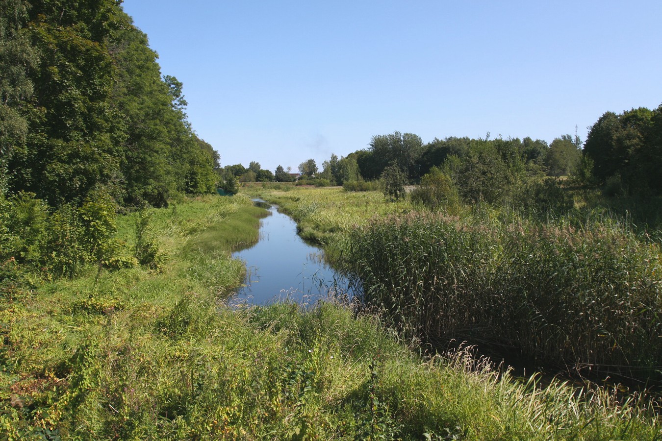 Гдов, image of landscape/habitat.