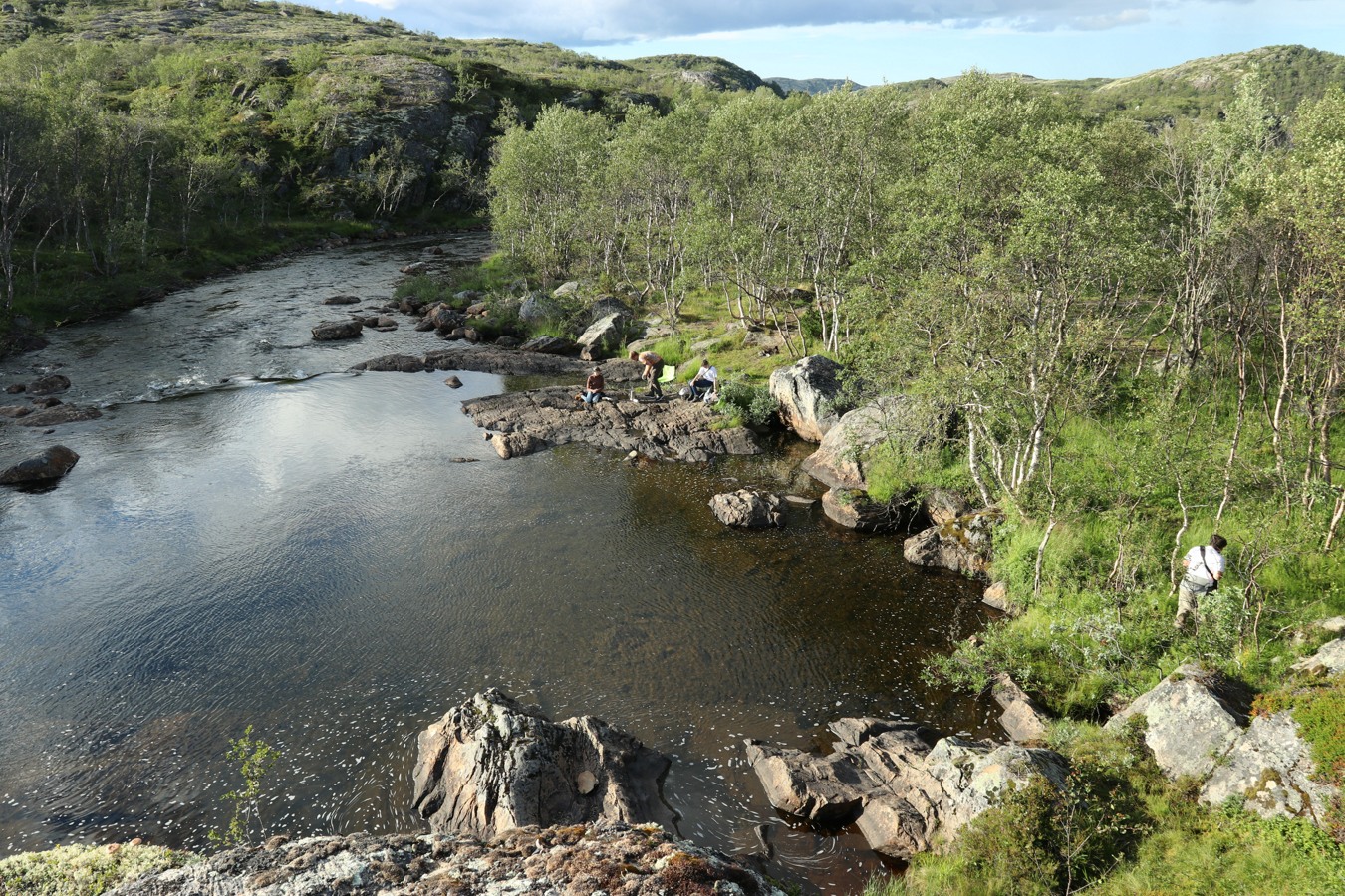 Юринга, image of landscape/habitat.