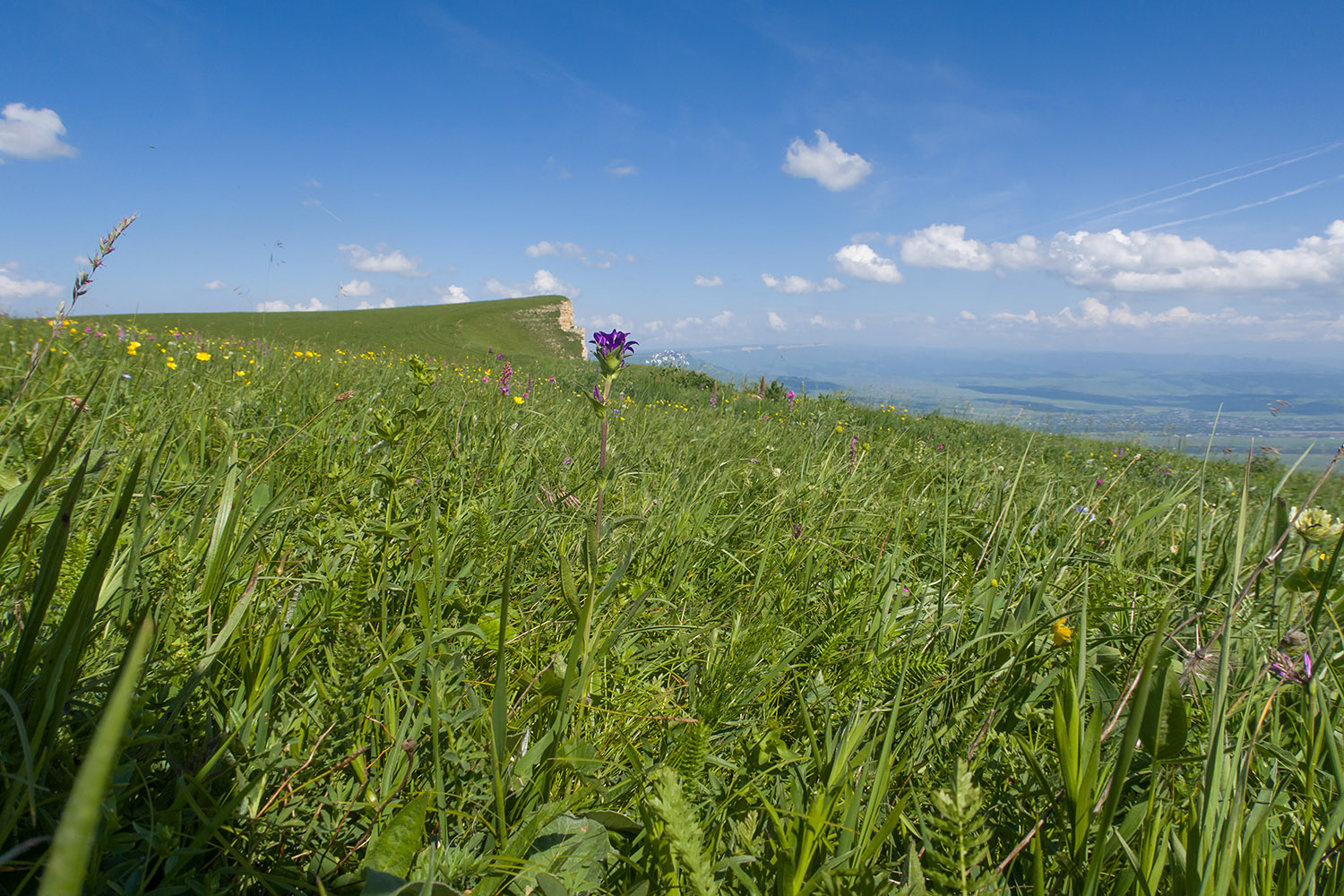 Джисса, image of landscape/habitat.