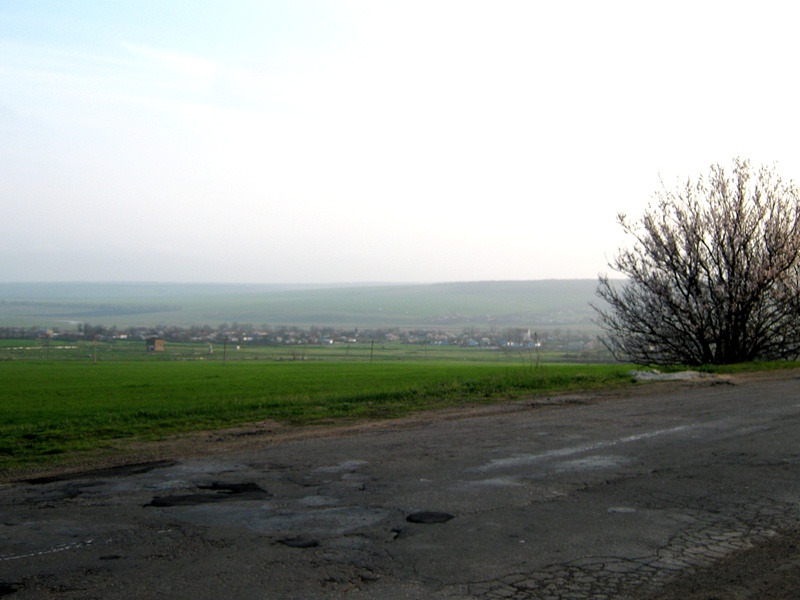 р. Малый Куяльник, image of landscape/habitat.