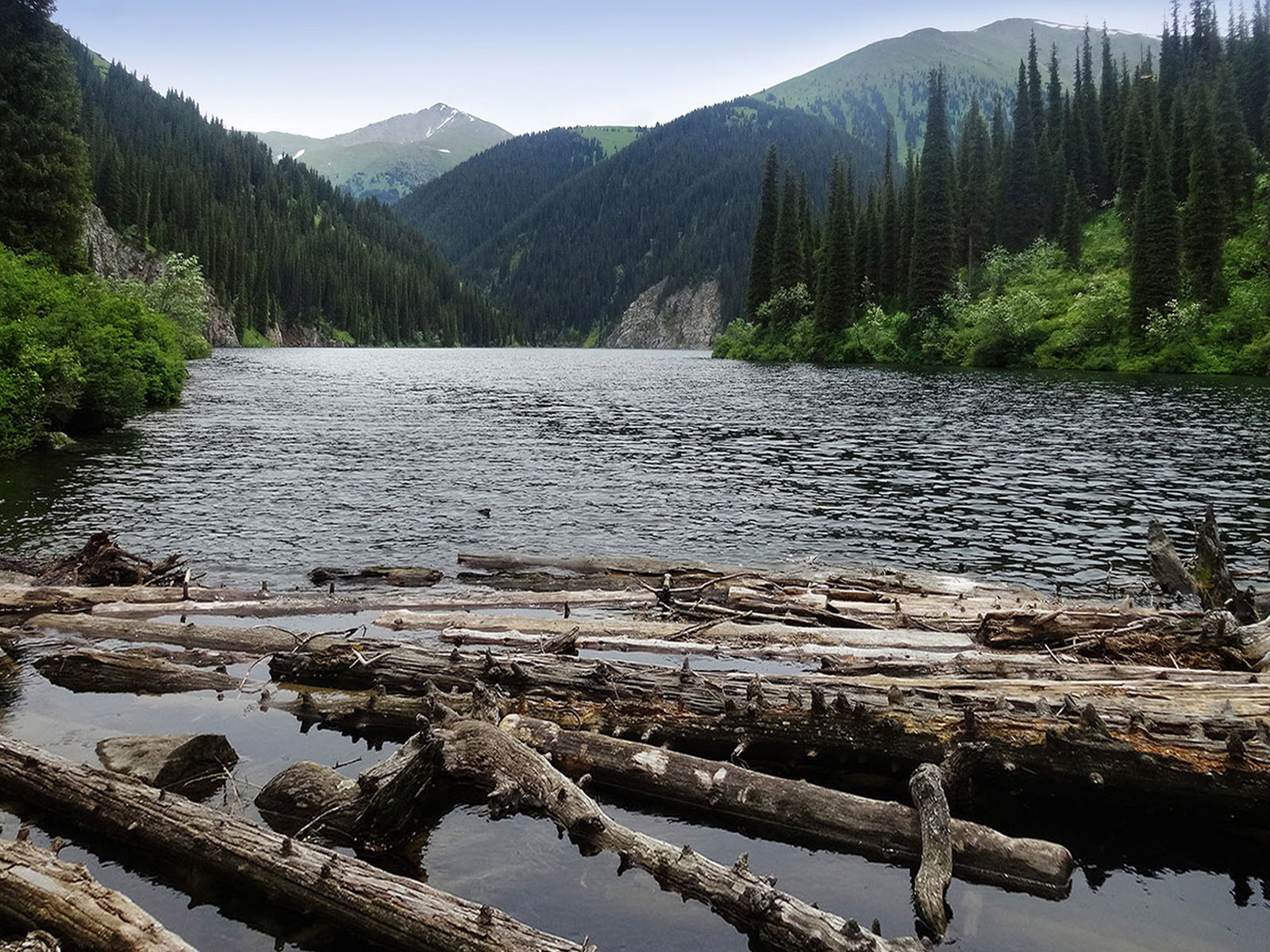 Кольсайские озера, image of landscape/habitat.