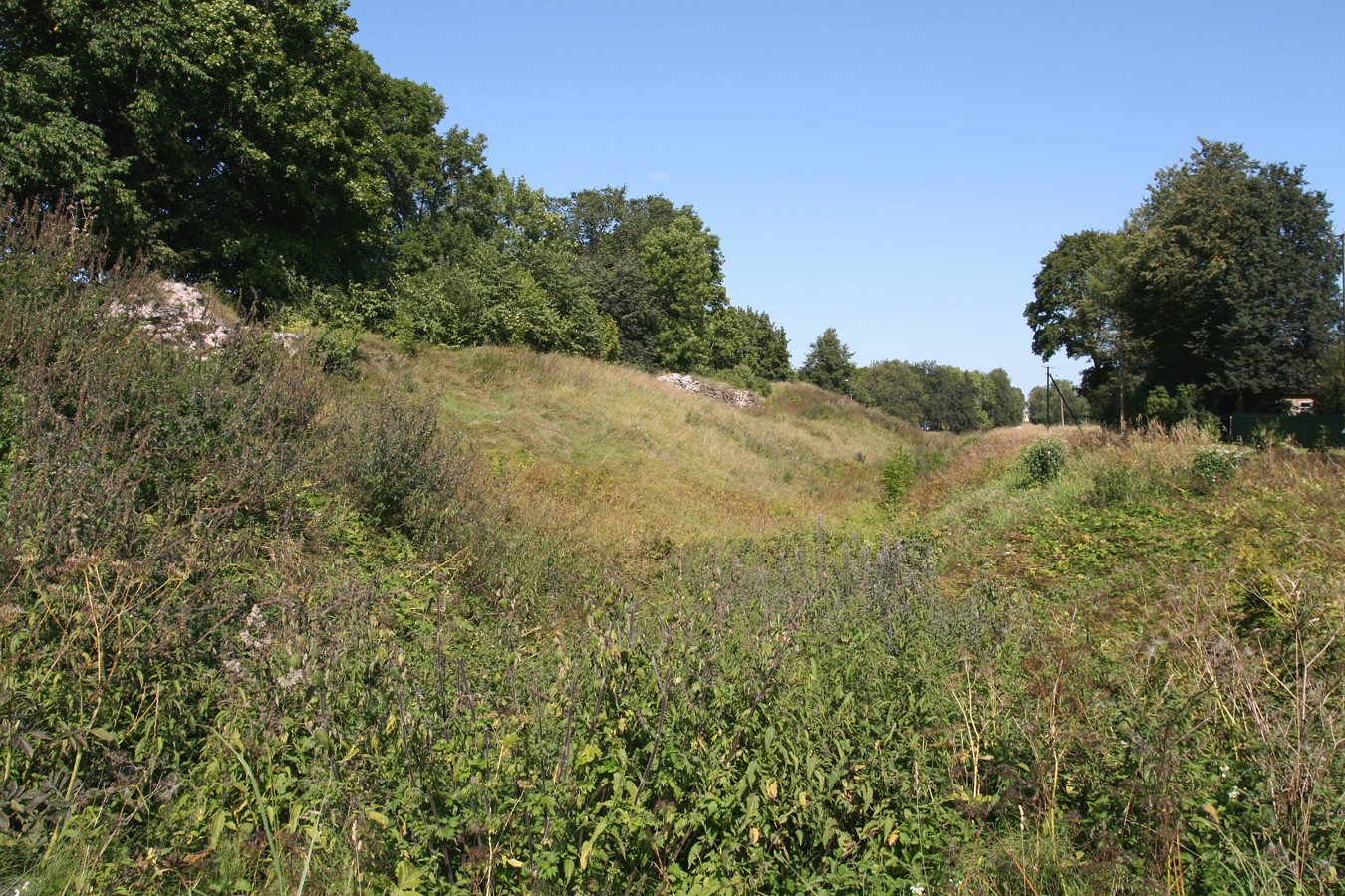 Гдов, image of landscape/habitat.