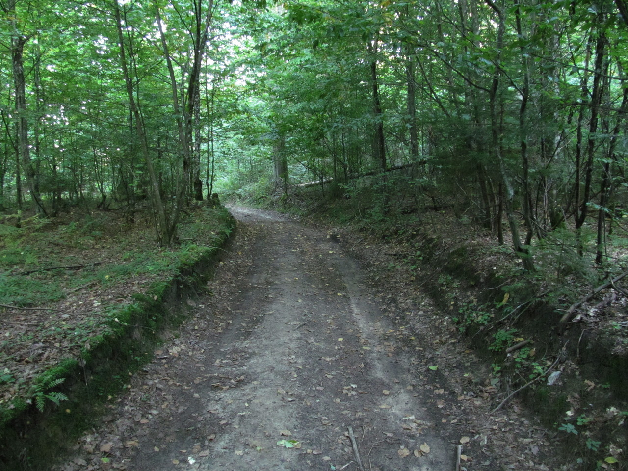 Малые Карныши, image of landscape/habitat.