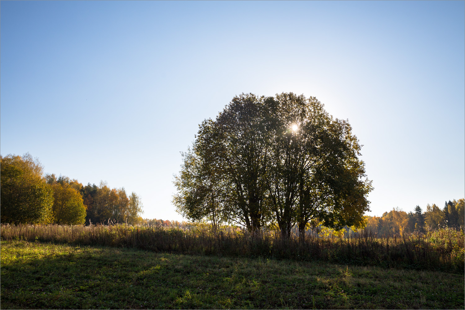 Окрестности Галичского озера, image of landscape/habitat.