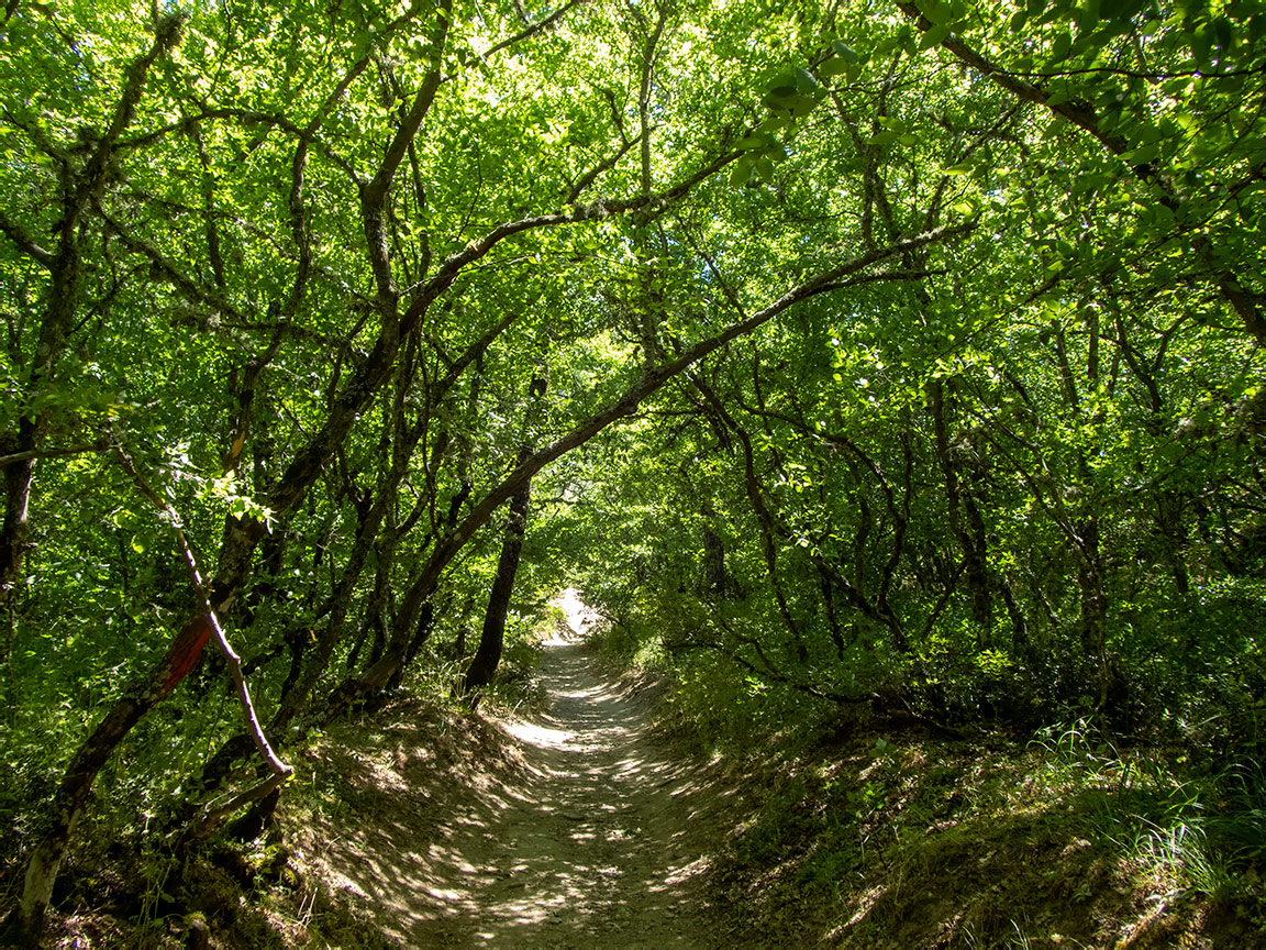 Аюдаг, image of landscape/habitat.