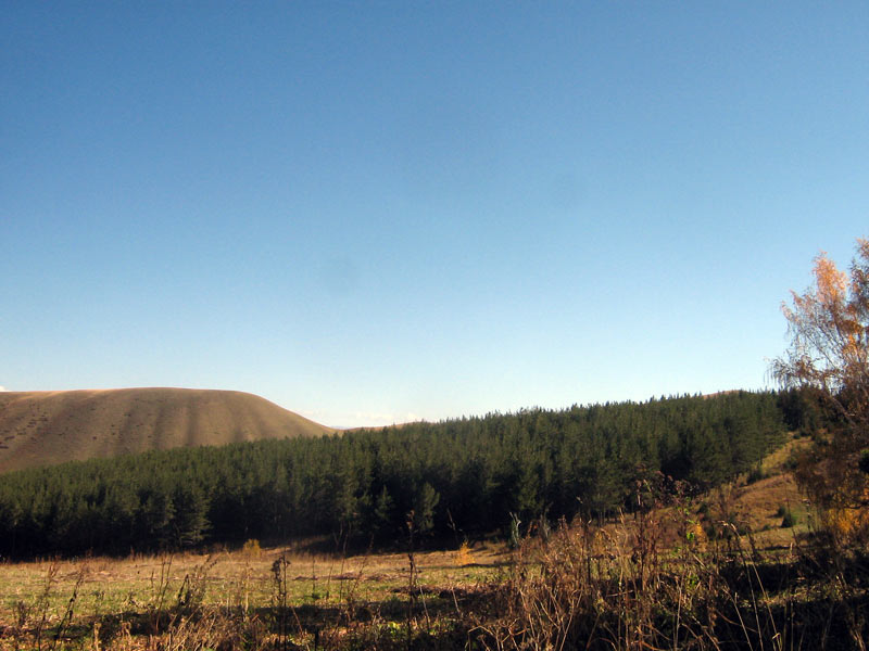 Горы Басулытау, image of landscape/habitat.