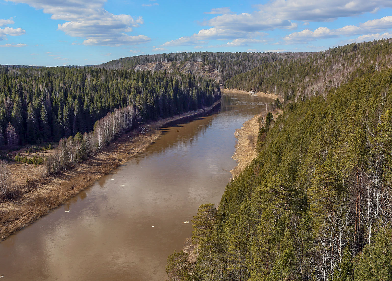 Камень Кирпичный и окрестности, image of landscape/habitat.