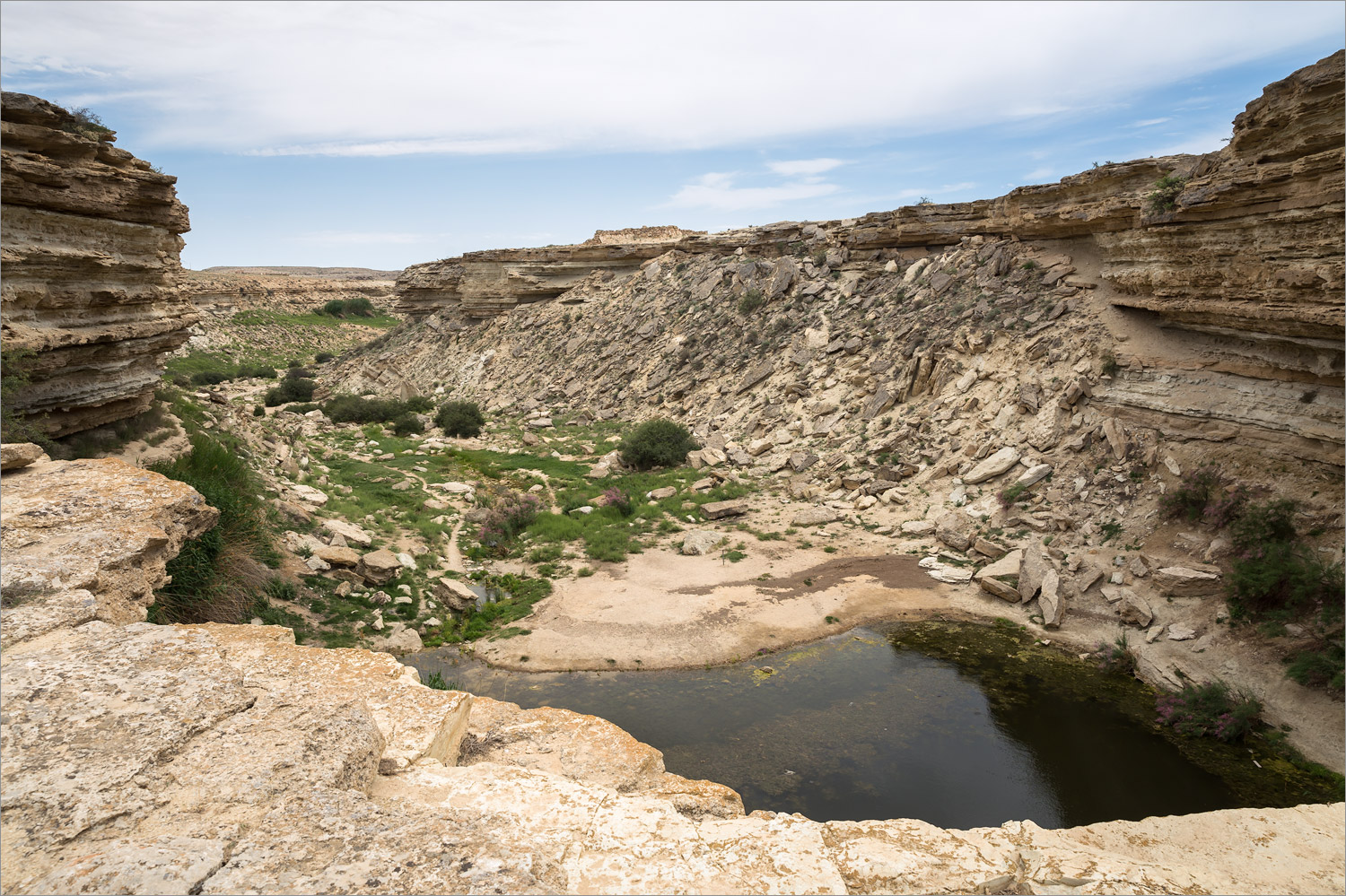 Саура, image of landscape/habitat.