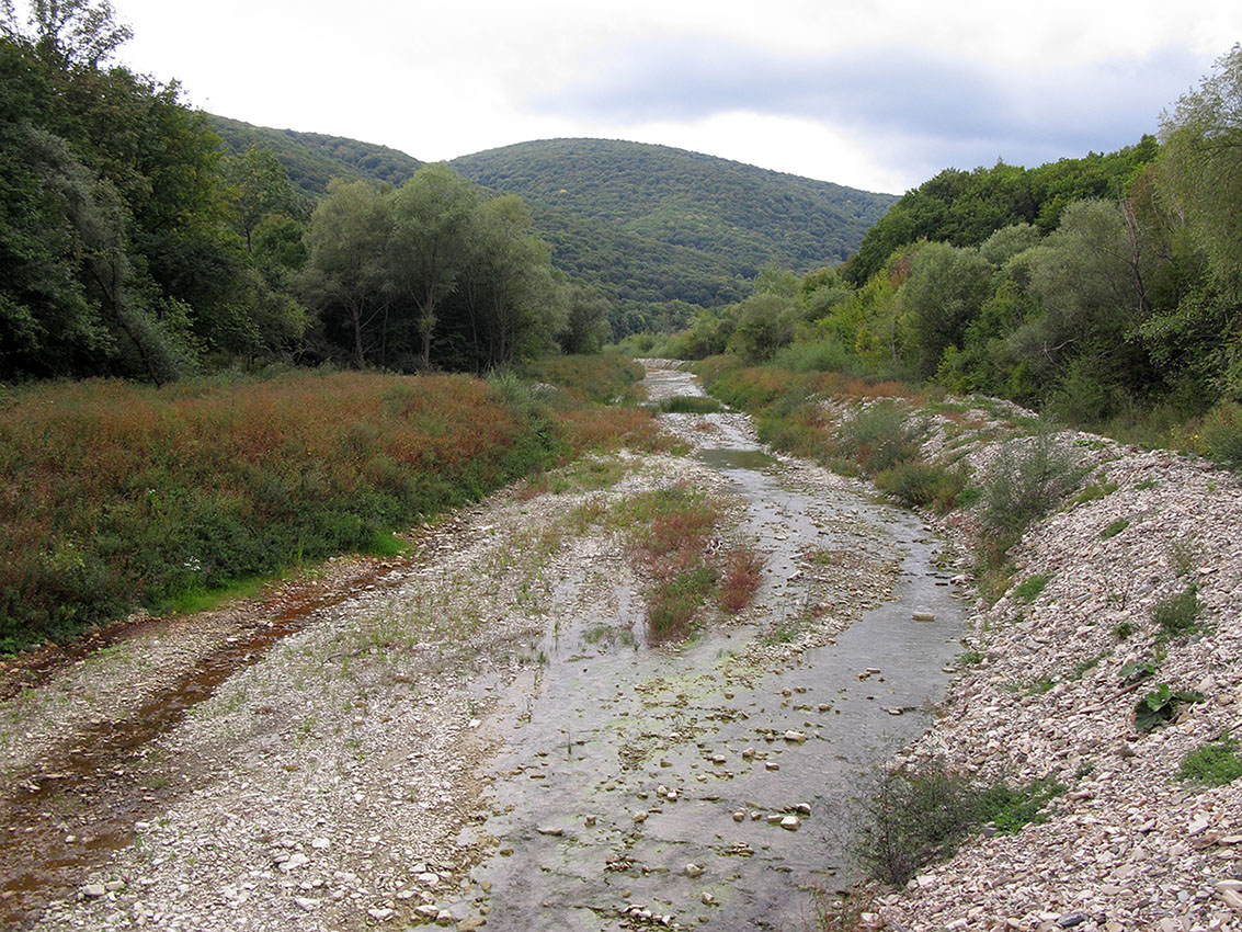 Богого, image of landscape/habitat.