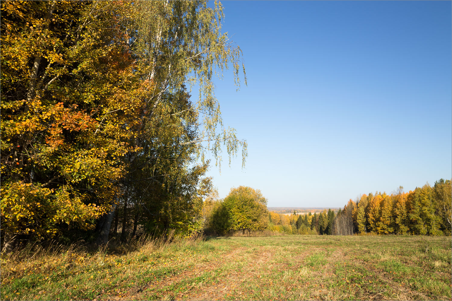 Окрестности Галичского озера, image of landscape/habitat.