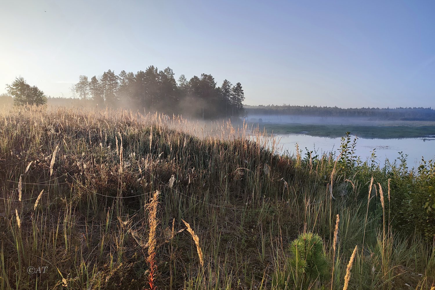 Пено, image of landscape/habitat.