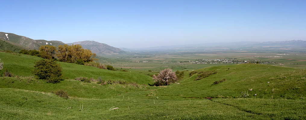 Ущелье Иргайлы, image of landscape/habitat.