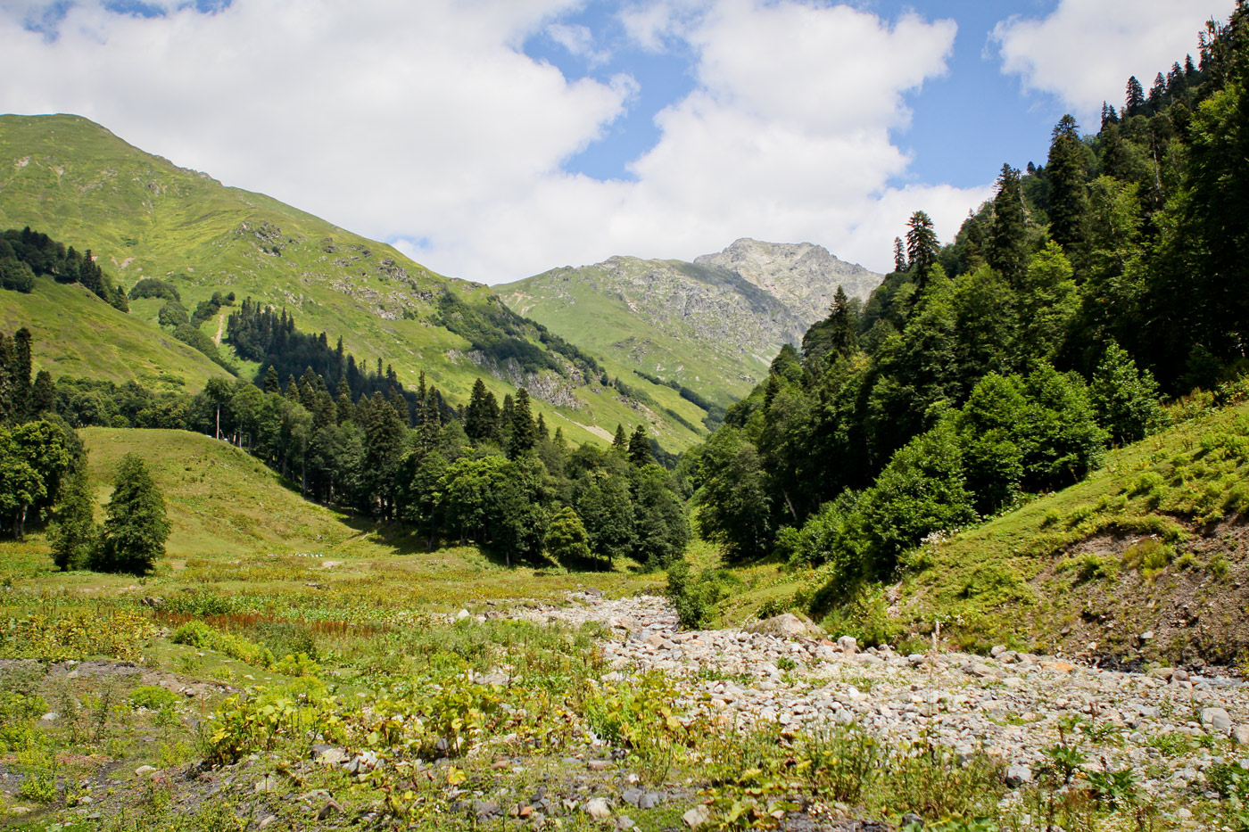 Авадхара (Ауадхара), image of landscape/habitat.