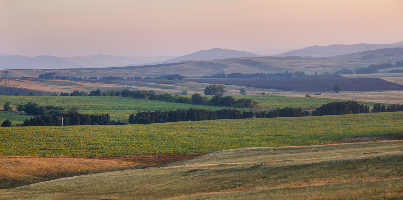 Долгие горы, image of landscape/habitat.