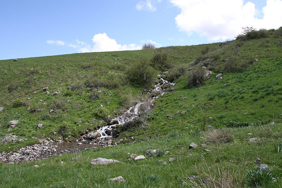 Ущелье Иргайлы, image of landscape/habitat.