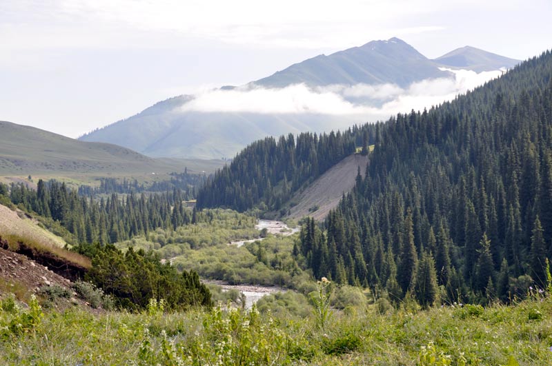 Долина реки Текес, image of landscape/habitat.