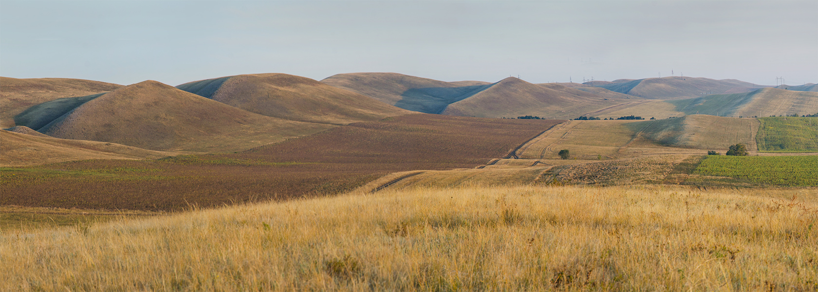 Долгие горы, image of landscape/habitat.