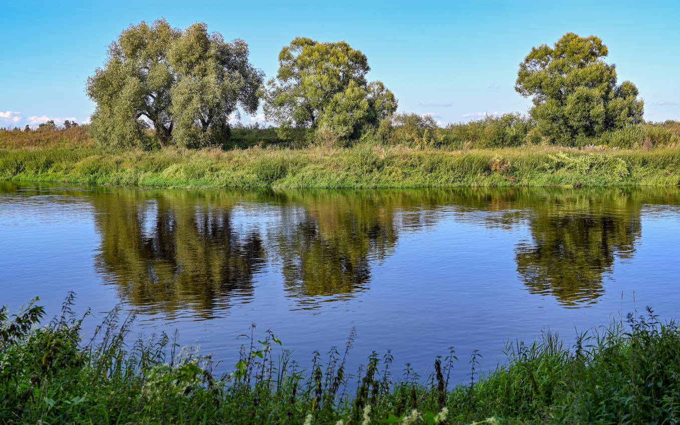 Окрестности деревни Аниково, image of landscape/habitat.