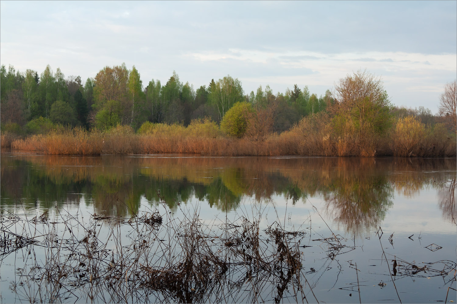 Окрестности Толмачёво, image of landscape/habitat.