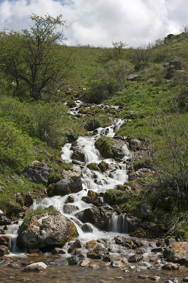 Ущелье Иргайлы, image of landscape/habitat.