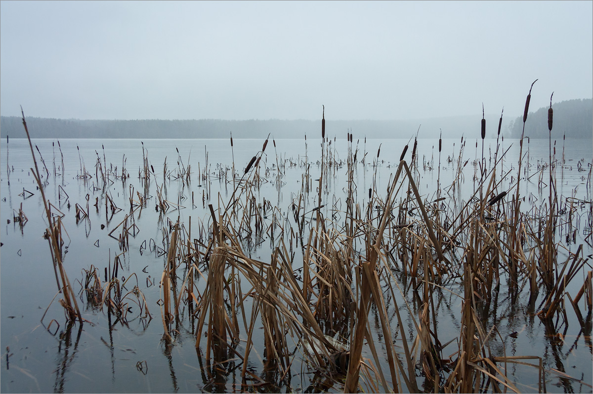 Озеро Глубокое, image of landscape/habitat.