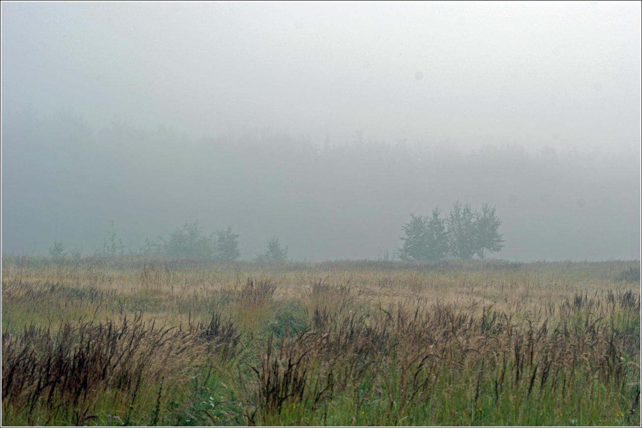Окрестности Хрипани, image of landscape/habitat.