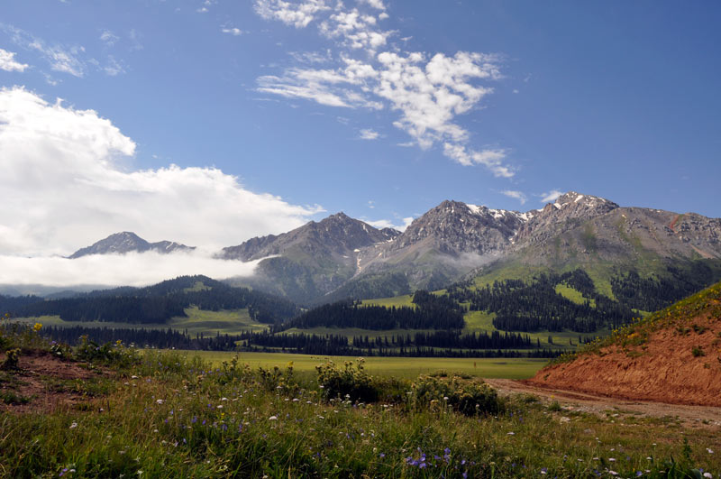 Долина реки Текес, image of landscape/habitat.