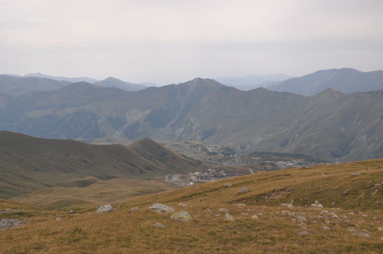 Окрестности села Гудаури, image of landscape/habitat.