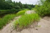 Усть-Янчер и окрестности, image of landscape/habitat.