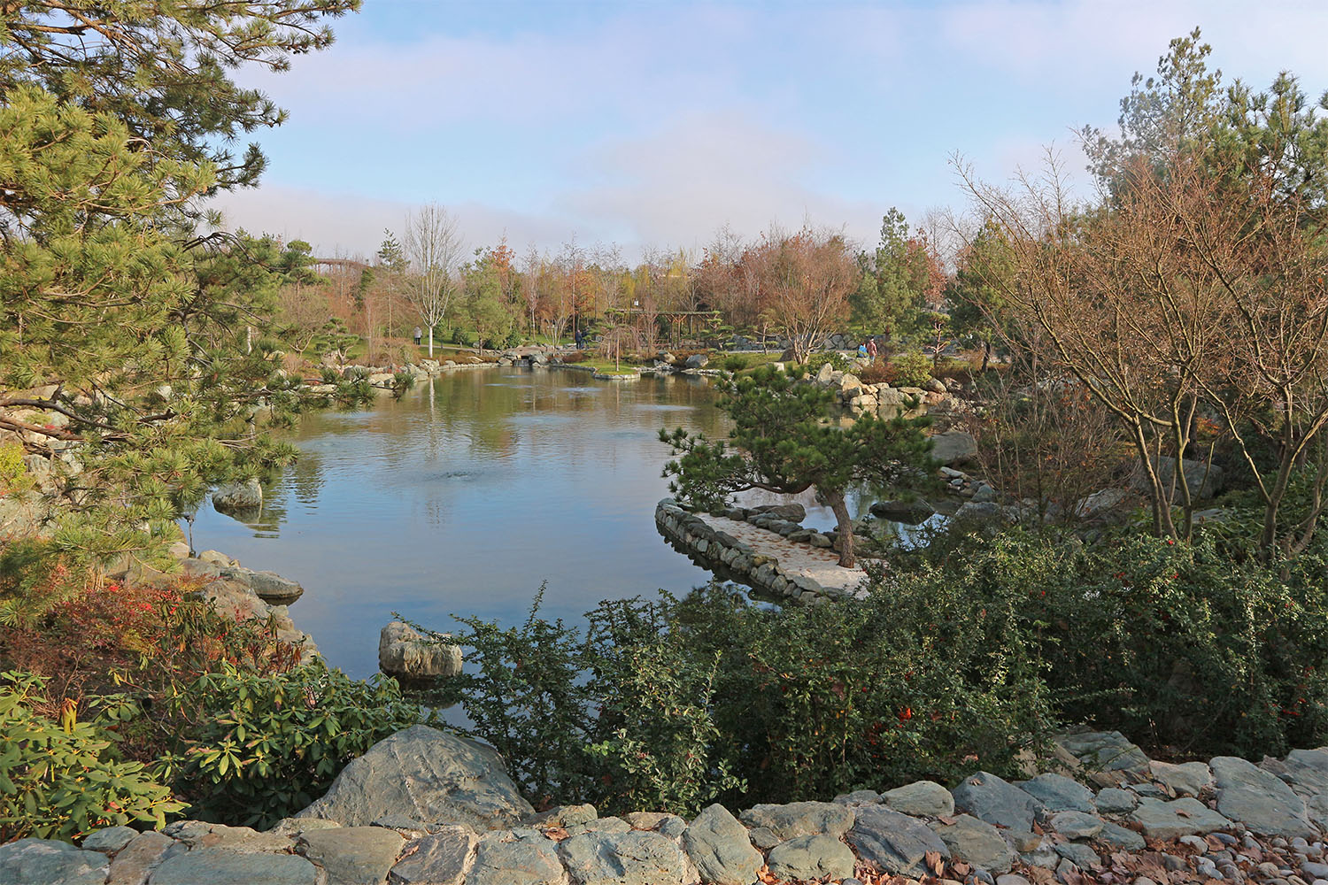 Японский сад в парке Галицкого, image of landscape/habitat.