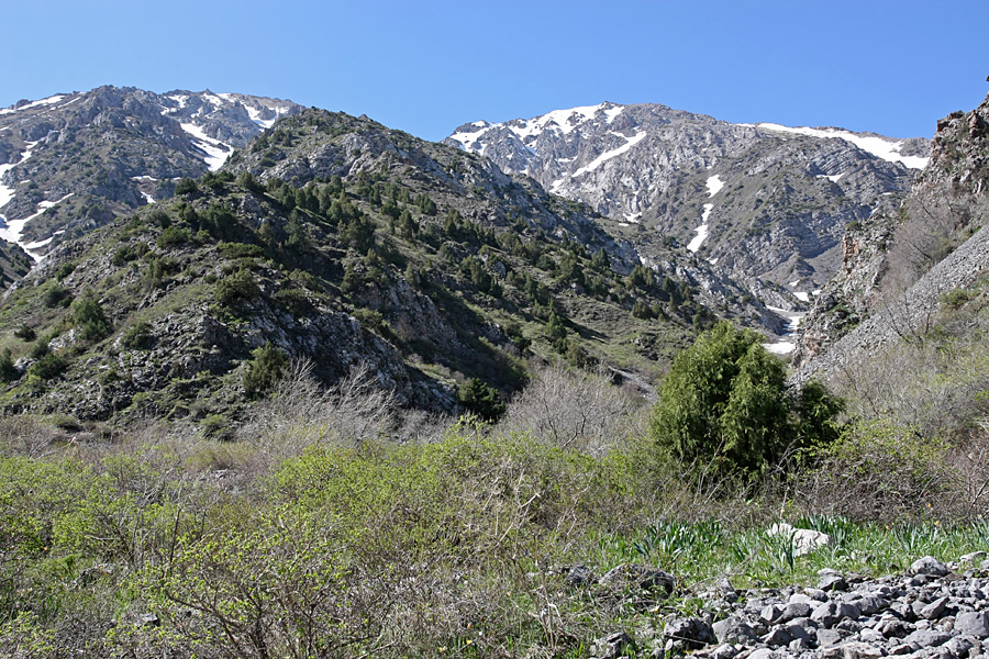 Ущелье Иргайлы, image of landscape/habitat.